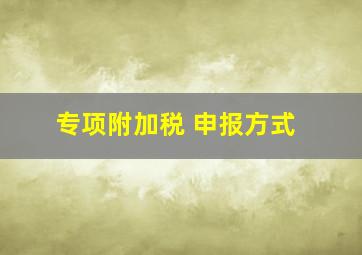 专项附加税 申报方式